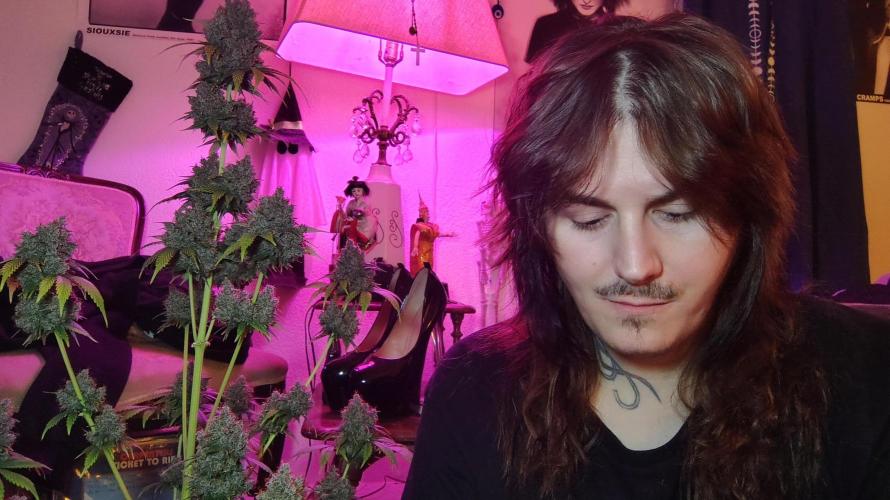 Banana purple punch RF3 & LCC. Week 13