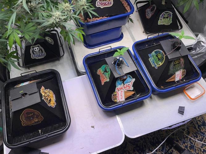 Night Owl x3. Week 1