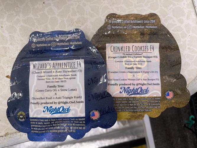 wizards apprentice, crinkled cookies,. Week 1