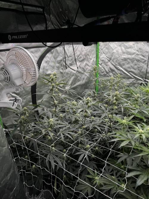 winter wonderland. Week 3 - day 22 | 11/5