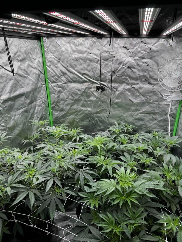 winter wonderland. Week 2 - 10/22