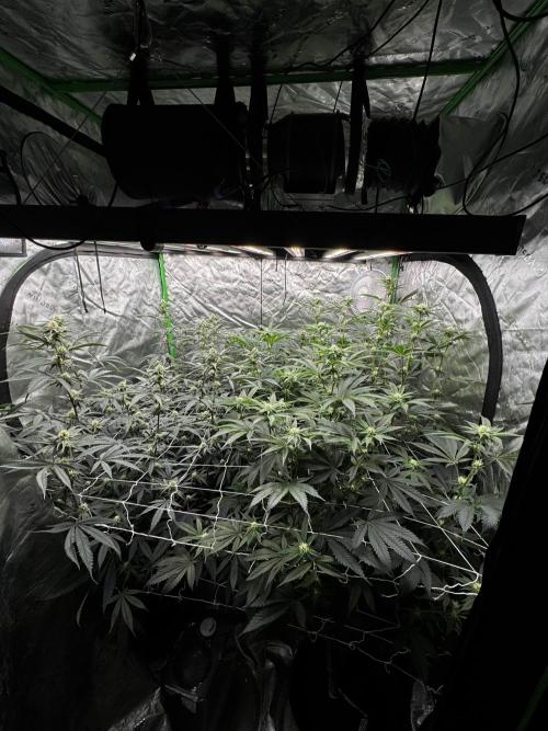 winter wonderland. Week 3 - day 24 | 11/7