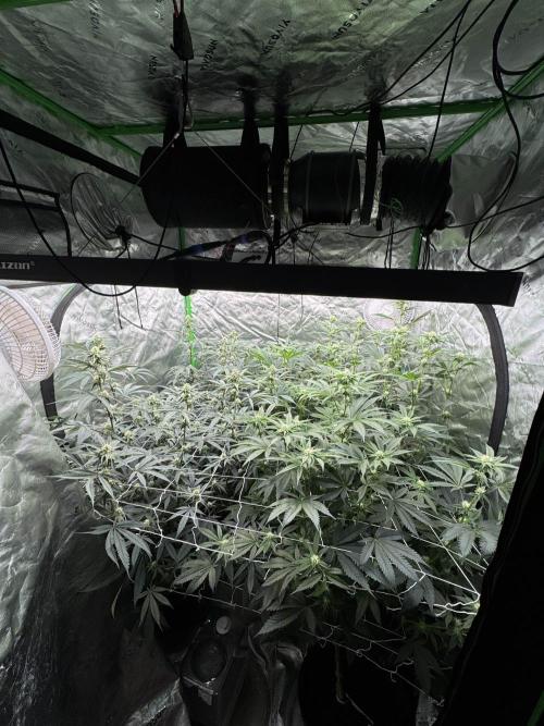 winter wonderland. Week 3 - day 24 | 11/7