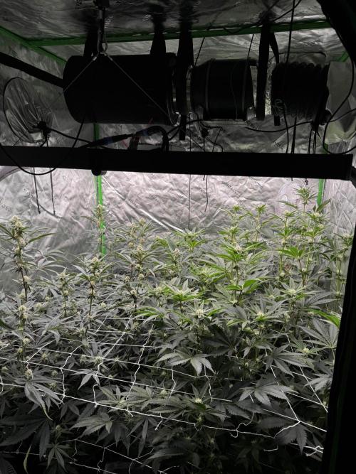 winter wonderland. Week 3 - day 24 | 11/7