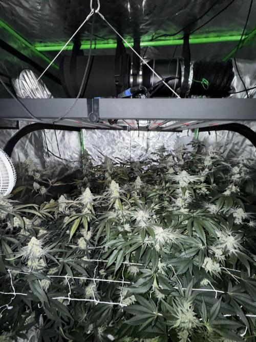 winter wonderland. Week 6 - day 48 | 12/1