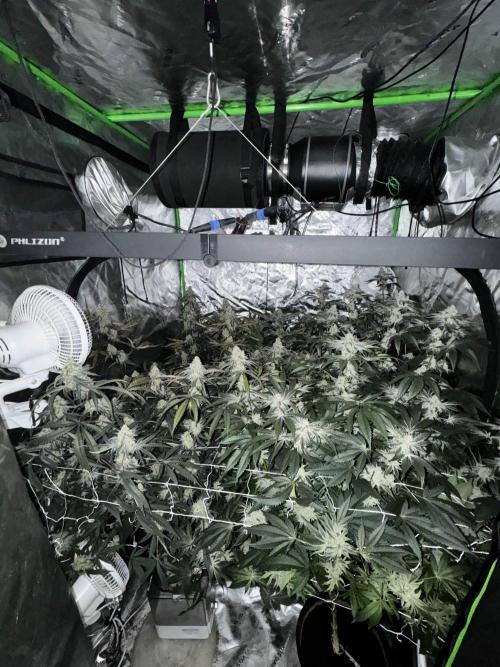 winter wonderland. Week 6 - day 48 | 12/1