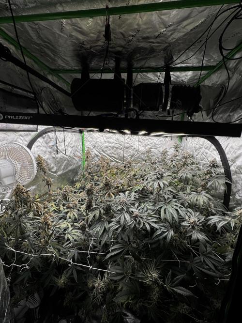 winter wonderland. Week 8 - Day 61 | 12/14