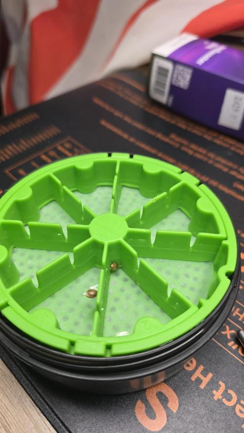 Juicy Berry Lust. Week 0