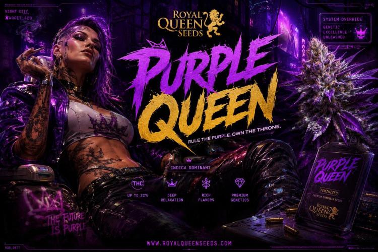 Purple Queen. Week 8