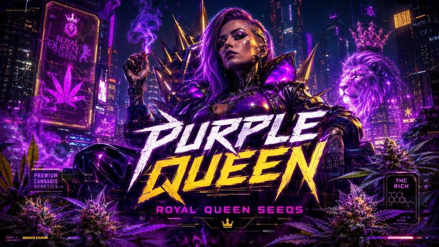 Purple Queen. Week 9