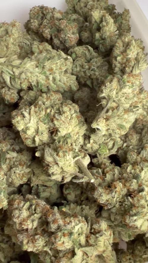 GWK x INB auto freebie - Mephisto