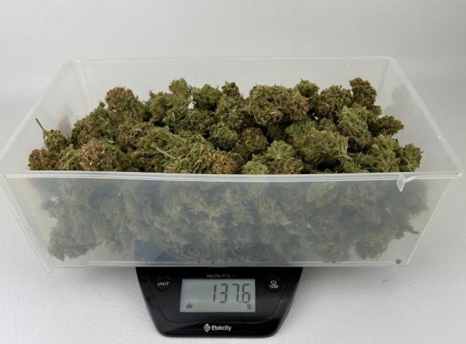 Hubbabubbahaze by Mephisto Genetics. Week 15