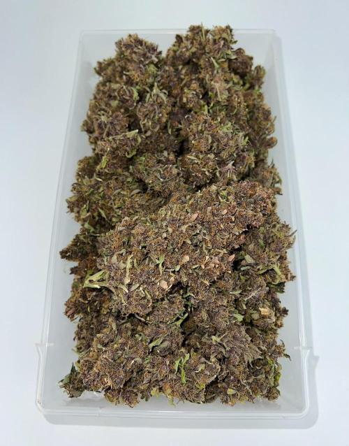 Strawberry Nuggets by Mephisto Genetics. Week 15