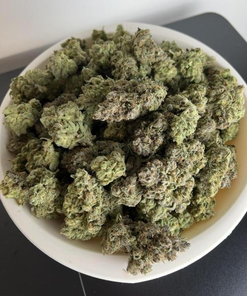 Papaya Cookies. Week 10