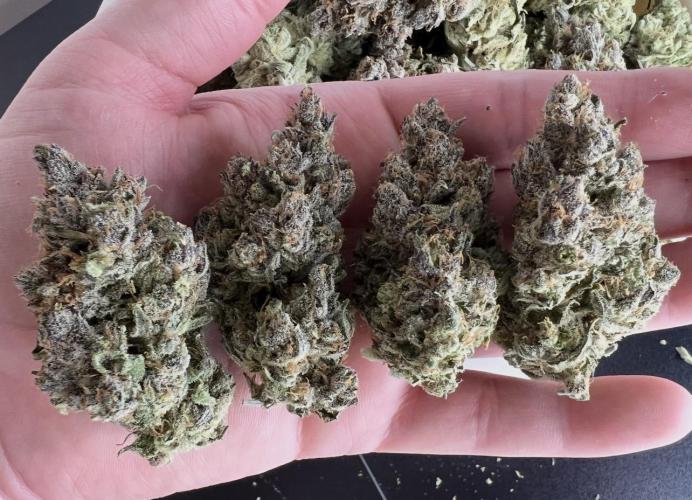 Papaya Cookies. Week 10