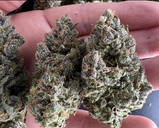 Papaya Cookies. Week 10