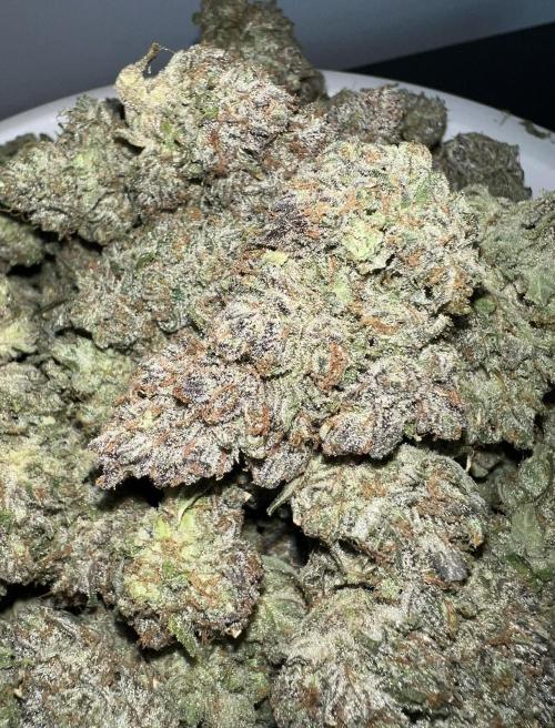 Papaya Cookies. Week 10