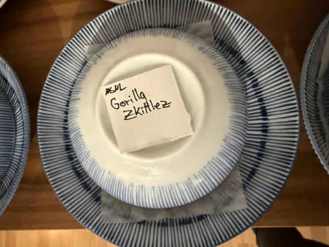 Gorilla Zkittelz #1. Week 0 - Day #0