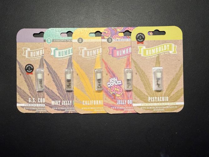 Pistachio #2025. Week 0 - Day #02