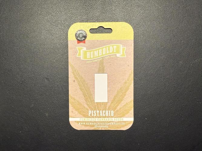 Pistachio #2025. Week 0 - Day #02