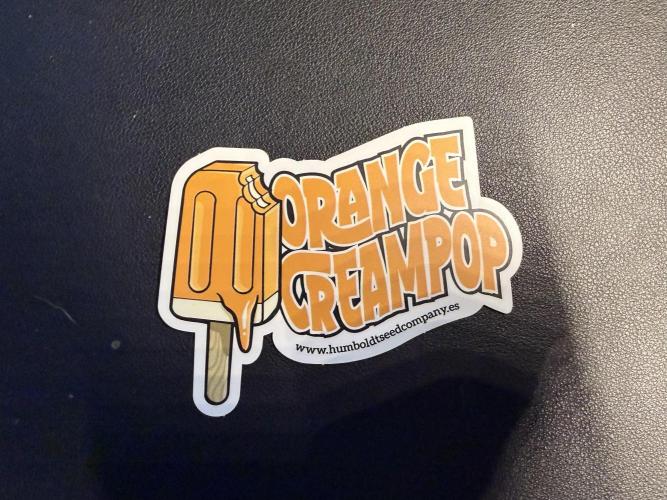 Orange Creampop #2025. Week 0 - Day #02