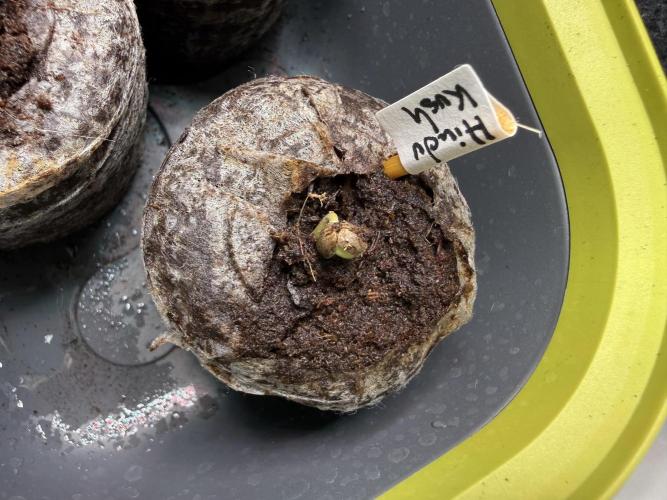 Hindu Kush #2025. Week 0 - Day #04