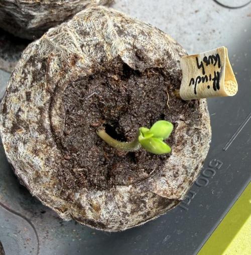 Hindu Kush #2025. Week 0 - Day #05 #1