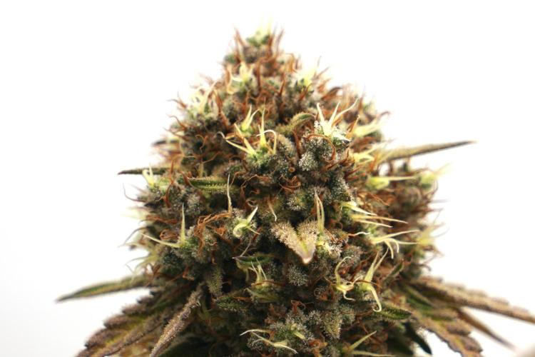 Raspberry Parfait #2025. Week 14 - Day #98 F#60