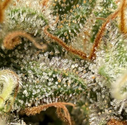 Raspberry Parfait #2025. Week 14 - Day #99 F#61