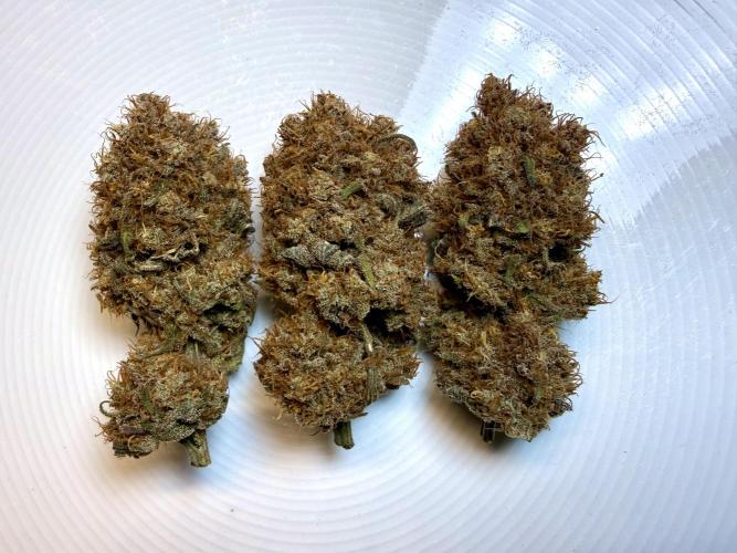 Raspberry Parfait #2025. Week 16