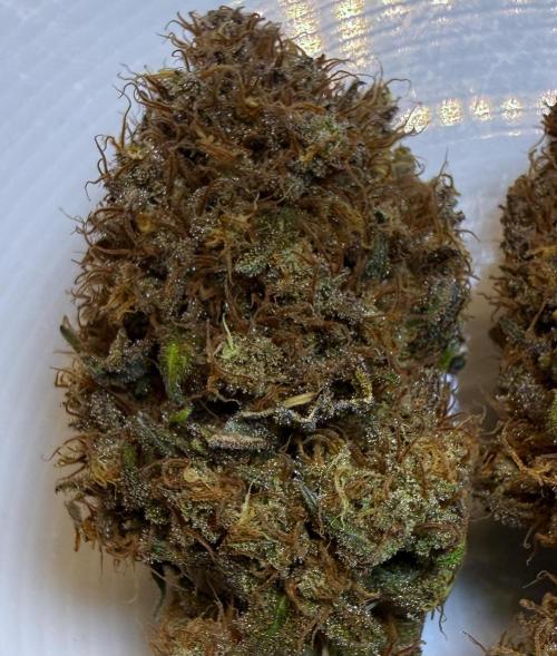 Raspberry Parfait #2025. Week 16