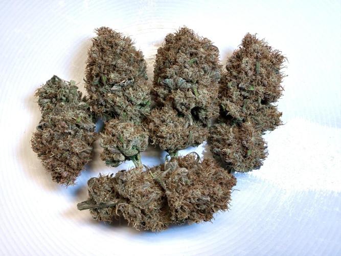 Raspberry Parfait #2025. Week 16