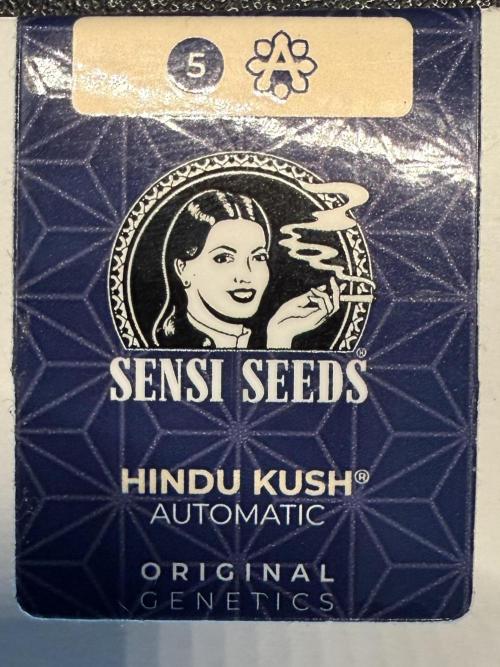 #2026 Balkon GROW Germany - Hindu Kush. Week 0 - Day #05