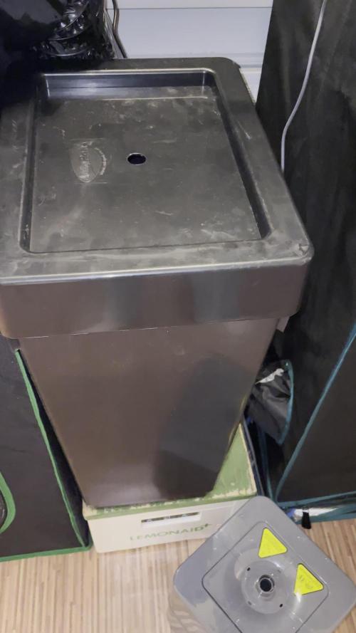 Autoflower & Autopot