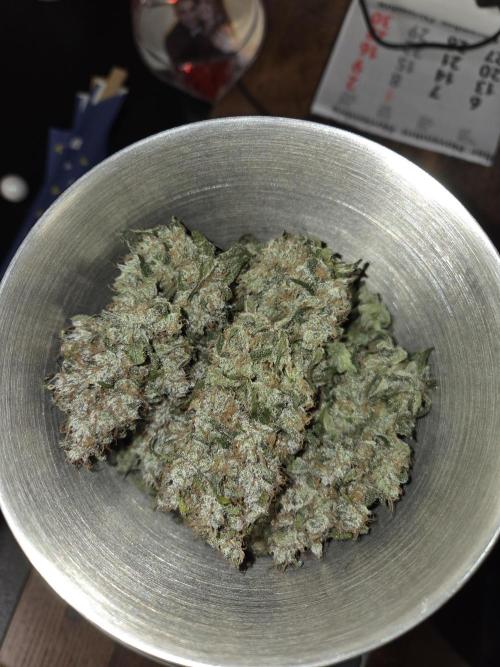 Blueberry Cane Danf Pro. Week 14