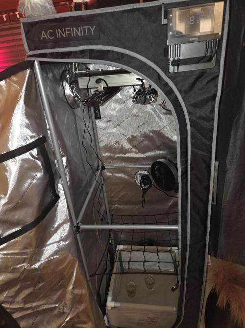 Ocean Freeze & Azul Rosa RHS AC Infinity. Week 0