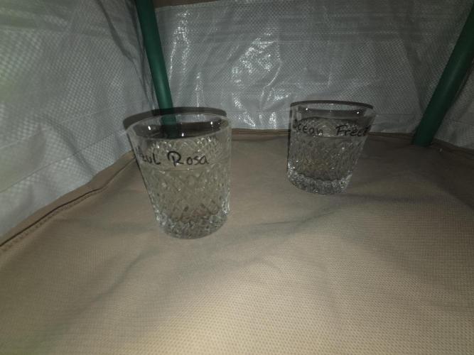 Ocean Freeze & Azul Rosa RHS AC Infinity. Week 0