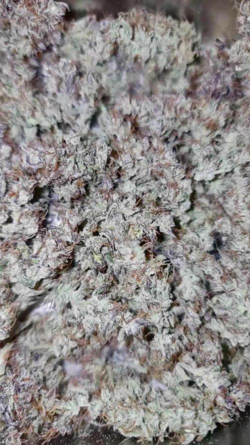 Cheap Weed #3 | 1,63€/g