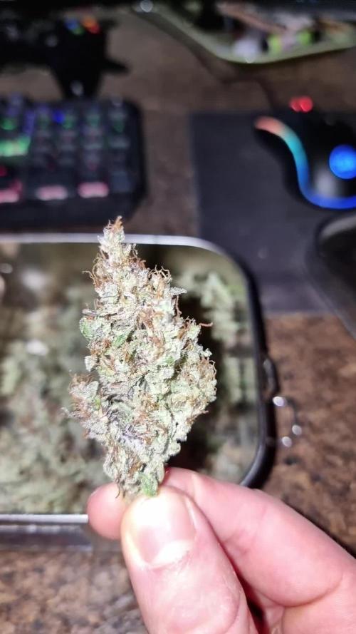 Cheap Weed #3 | 1,63€/g