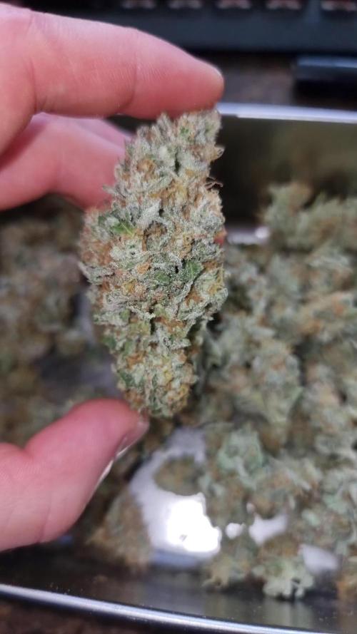 Cheap Weed #4 | 0,80€/g