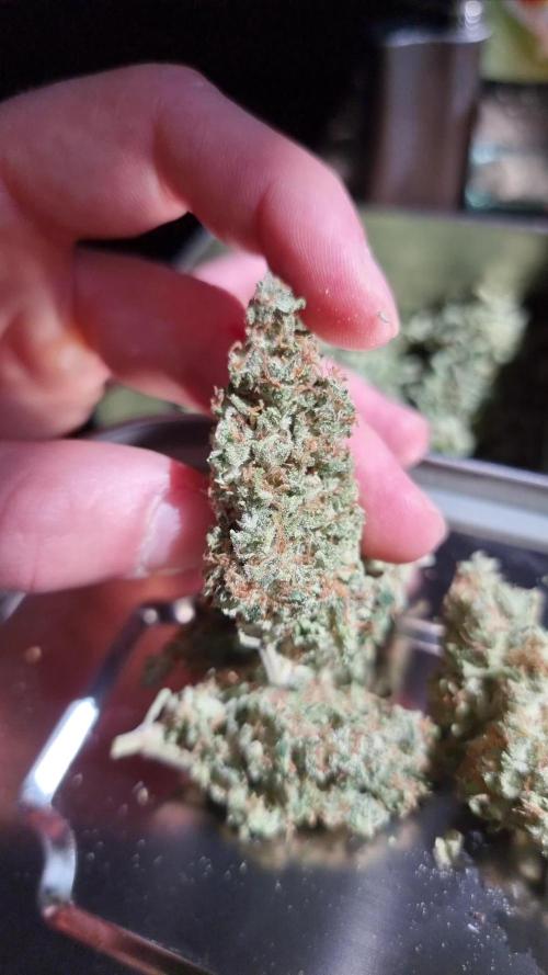 Cheap Weed #5 0,76€/g