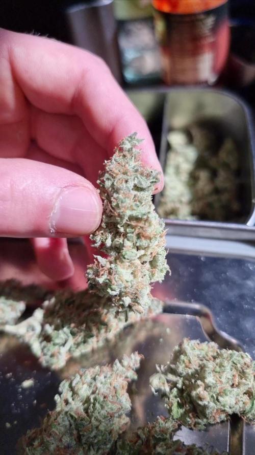 Cheap Weed #5 0,76€/g