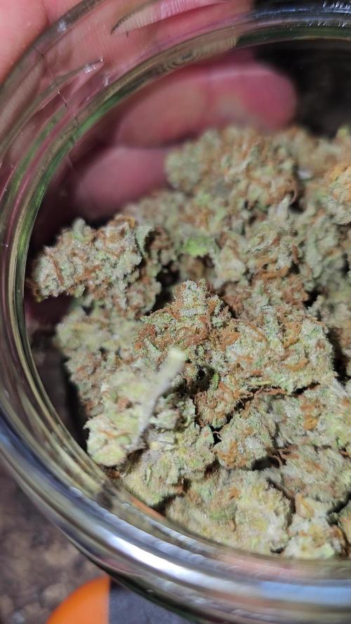 Cheap Weed #7 2Girls1Pot