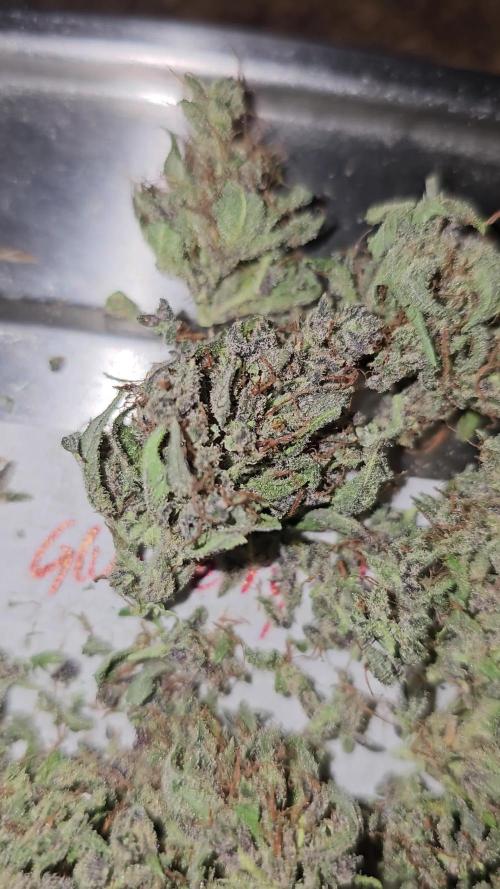 Cheap Weed #8 2Girls1Pot