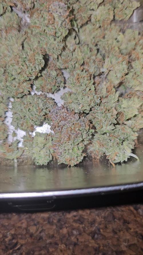 Cheap Weed #11 | 2,19g/€