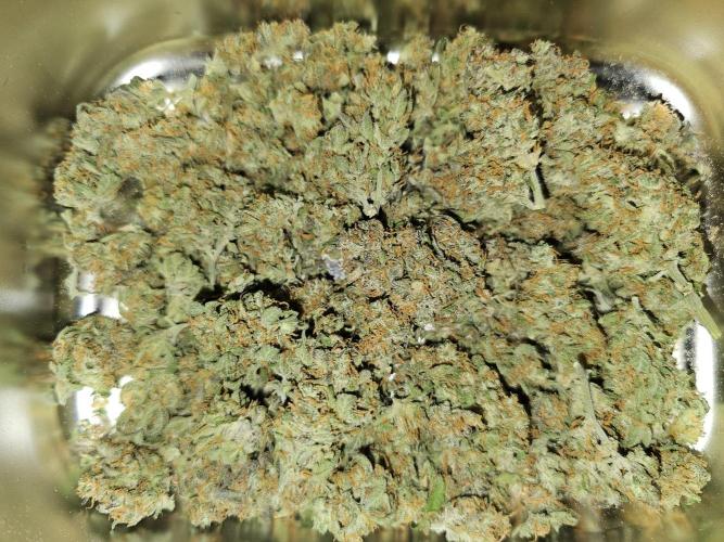 2nd Own Genetic | Cheap Weed #13. Week 13