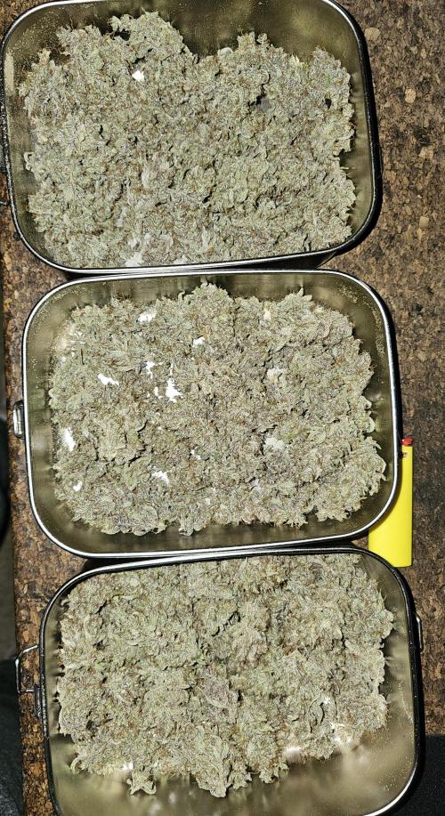 Cheap Weed | 0,56€/g #14. Week 17