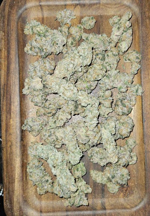 HONEY MINTS 🐝🌱🌳. Week 13