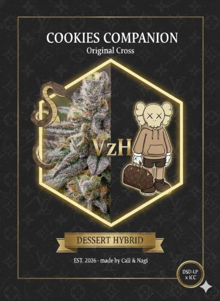VzH / Cookies Companion EST : 2026. Week 0 - VzH / Cookies Companion
