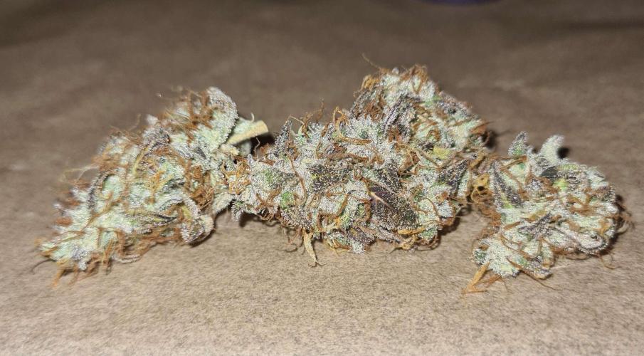 RQS / Sweet,zz Auto ✔️. Week 11